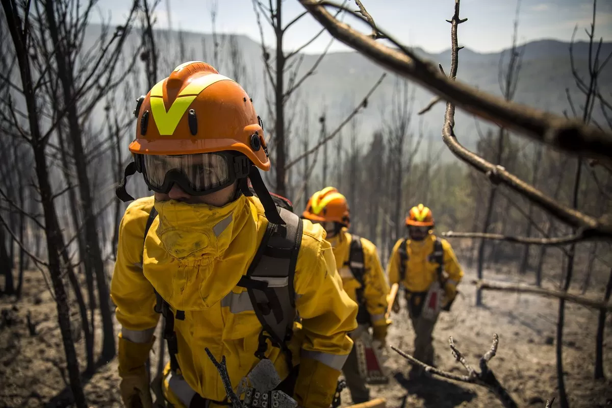 Conheça os equipamentos contra incêndios florestais