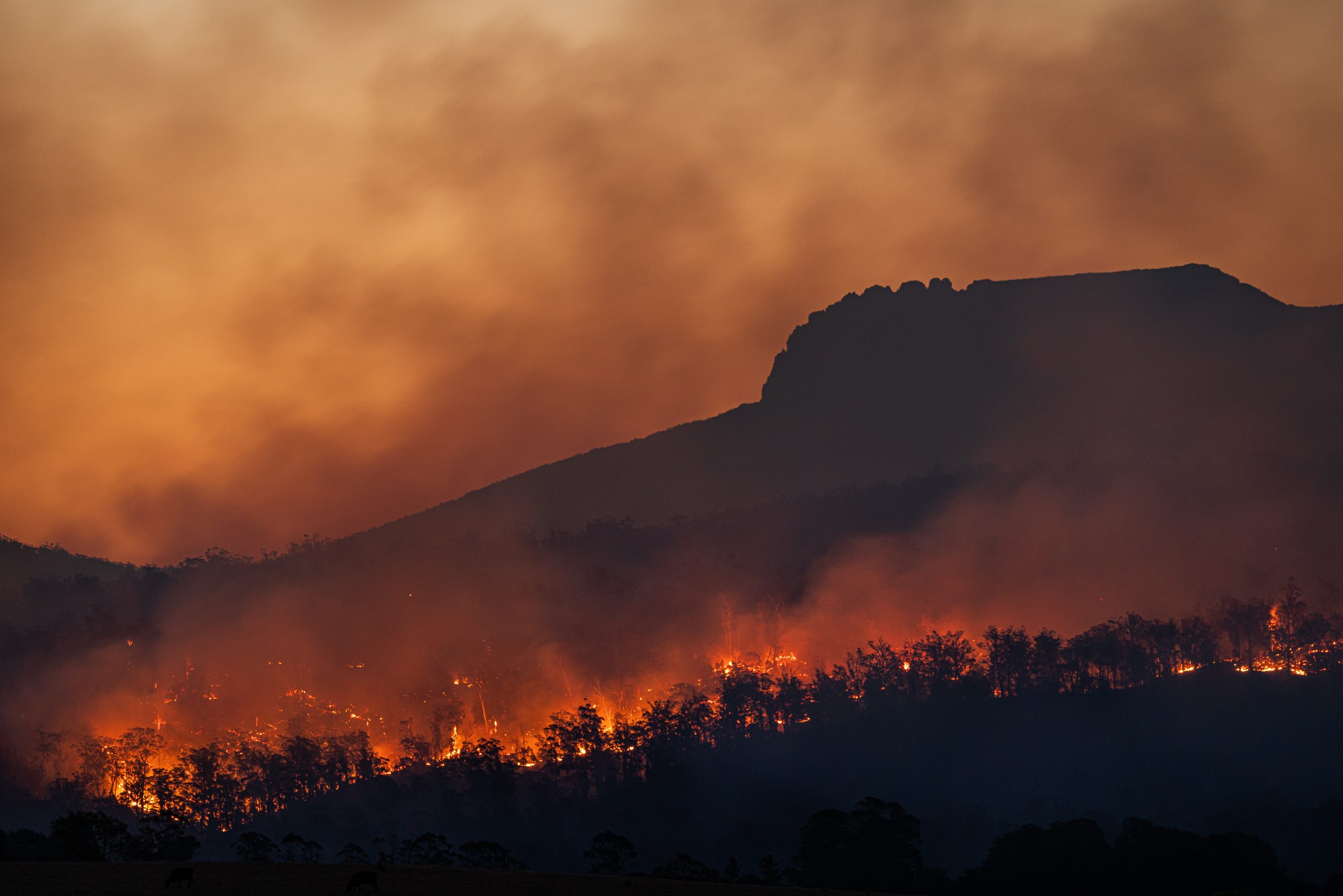 Altas temperaturas: Uma das principais causas de incêndios florestais