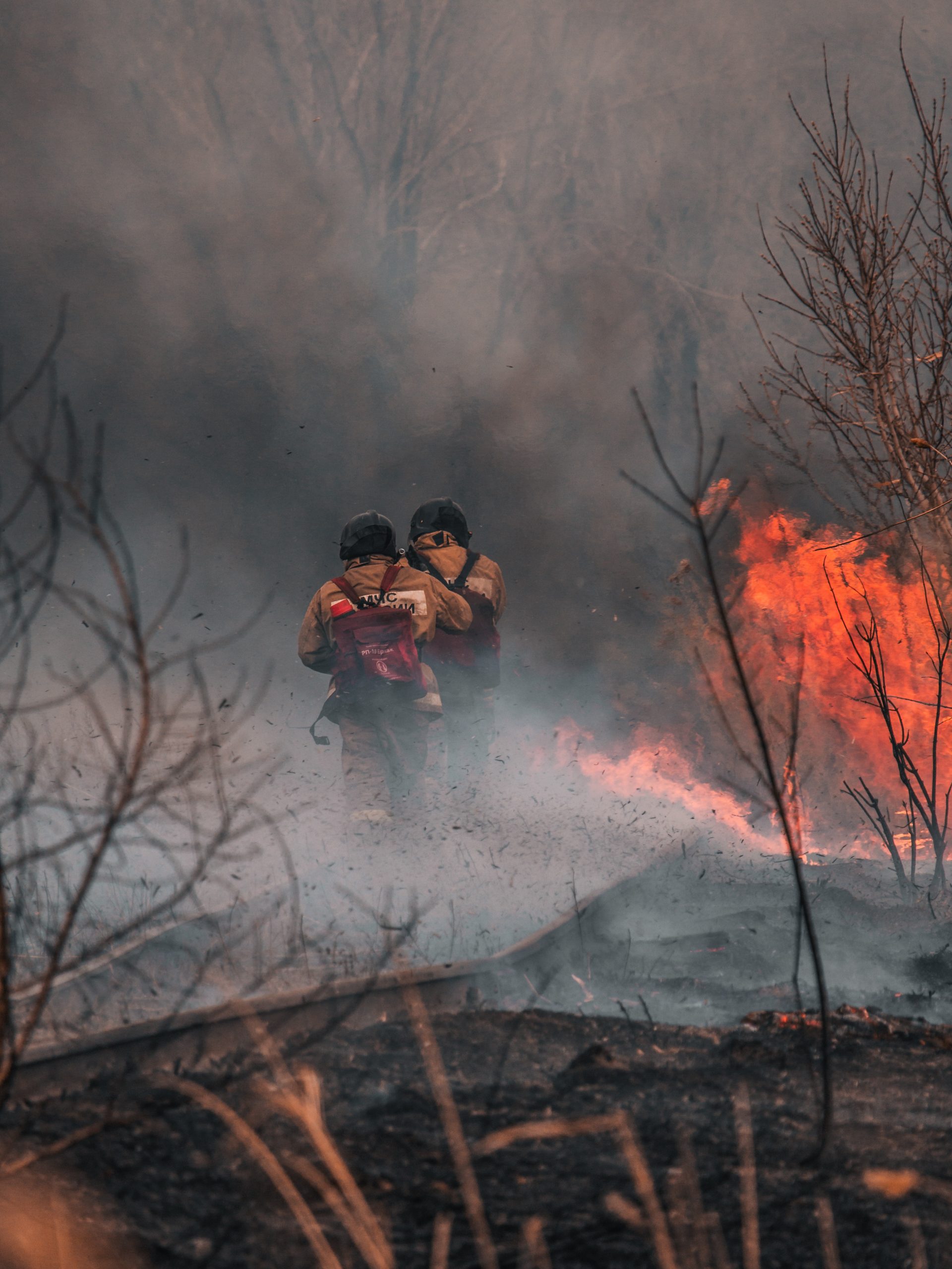 Aplicativos para monitoramento de incêndios