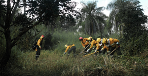 incêndios florestais